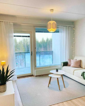 Levi Holiday home Poroileville Kittilä